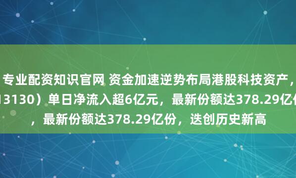 专业配资知识官网 资金加速逆势布局港股科技资产，恒生科技ETF（513130）单日净流入超6亿元，最新份额达378.29亿份，迭创历史新高