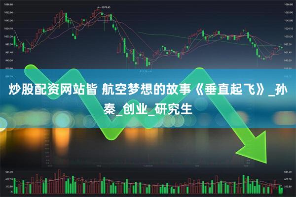 炒股配资网站皆 航空梦想的故事《垂直起飞》_孙秦_创业_研究生