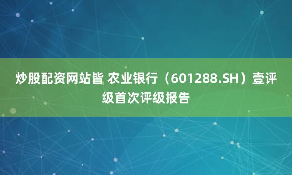 炒股配资网站皆 农业银行（601288.SH）壹评级首次评级报告
